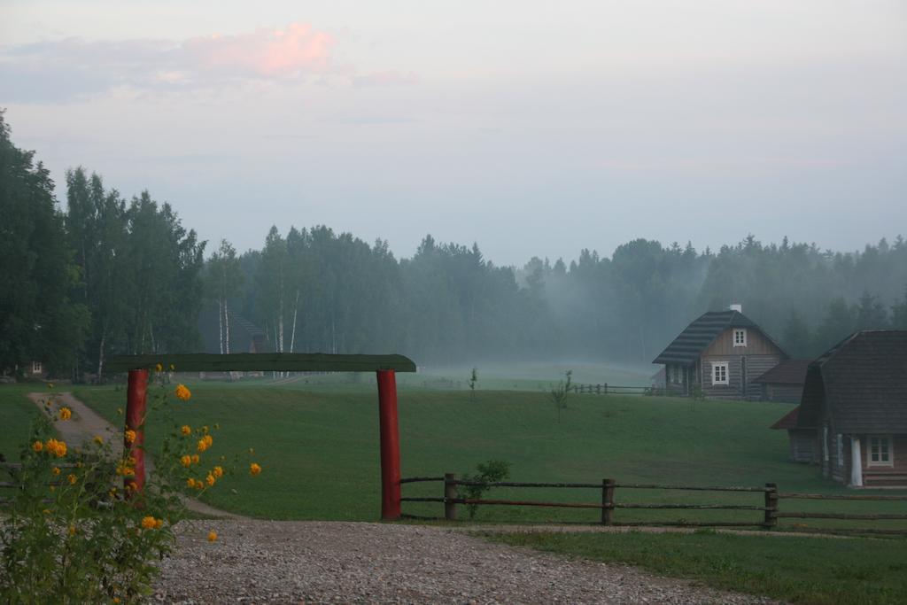 Miskiniskes Ignalina Exteriér fotografie