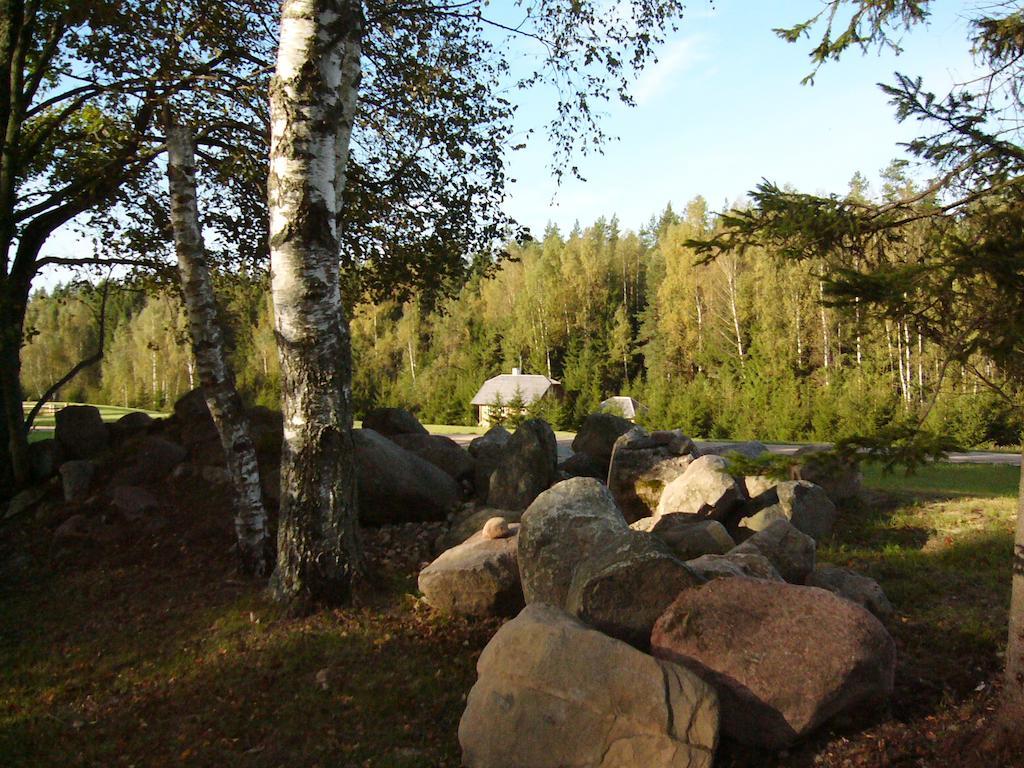 Miskiniskes Ignalina Exteriér fotografie