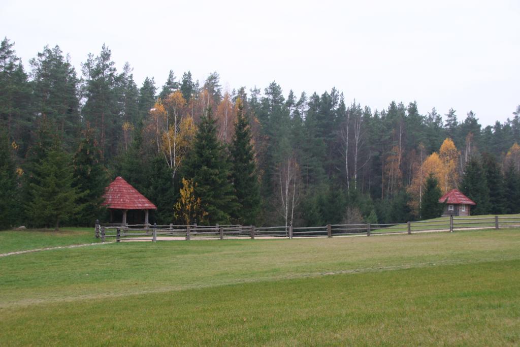 Miskiniskes Ignalina Exteriér fotografie