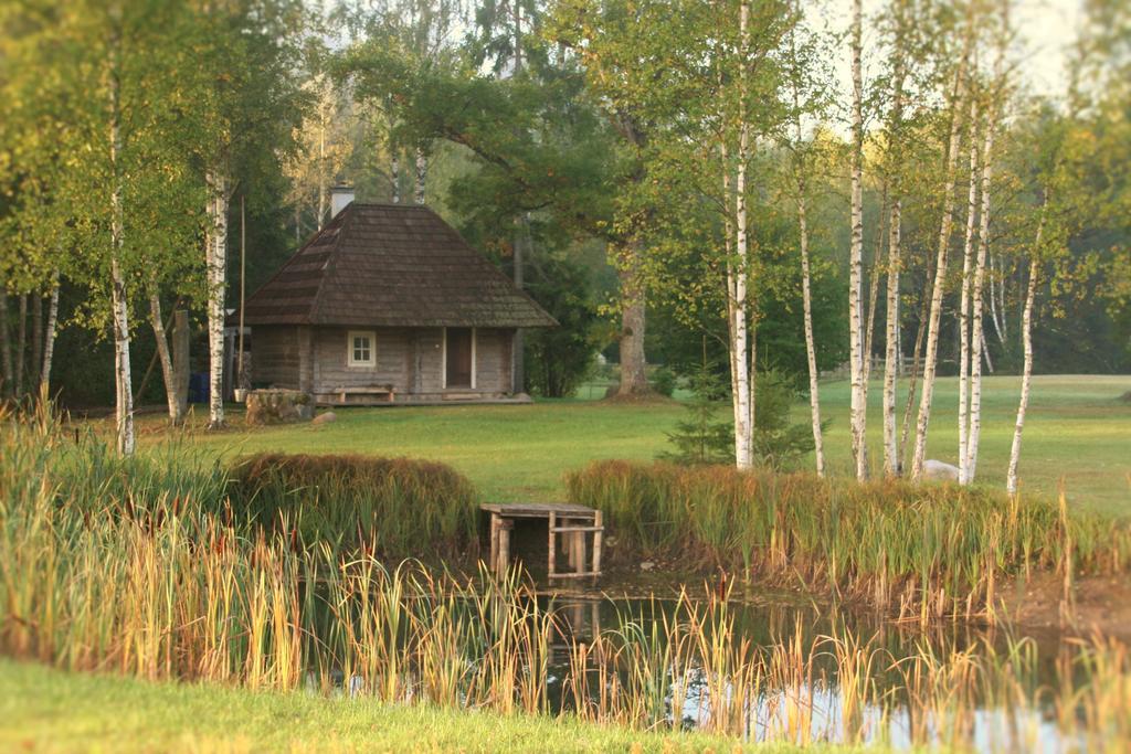 Miskiniskes Ignalina Exteriér fotografie